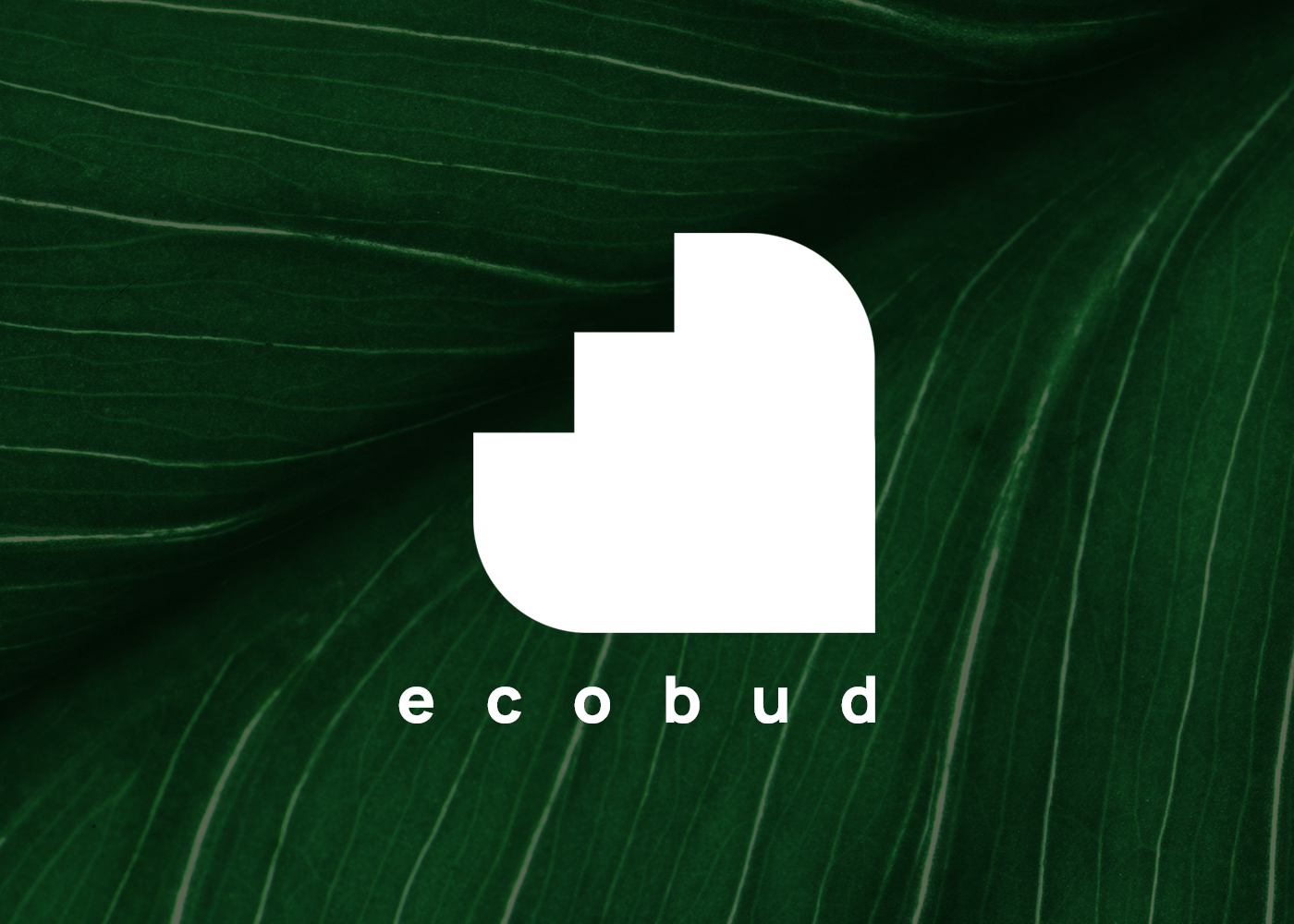 Project01-Ecobud